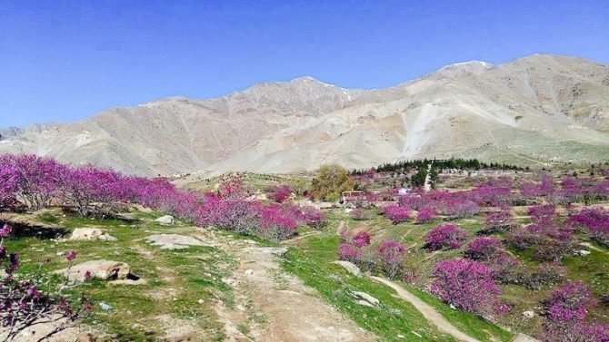 Identität – Wenn man fliehen muss, verliert man seine Identität – Folge 22 Afghanistan Afghanistan | Deutschland | Flucht Diversity und Kommunikation, Heimat und Identität