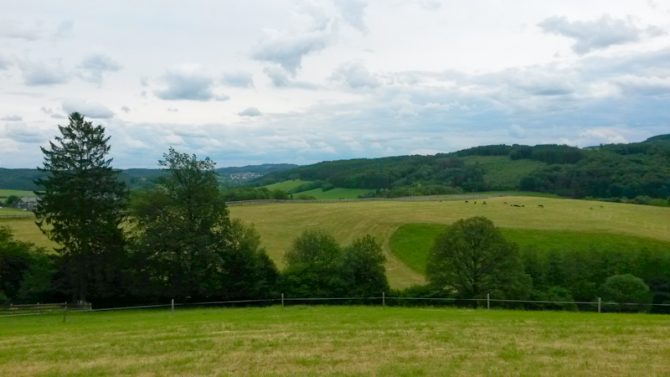 Resilienz stärken: Kraft für stürmische Zeiten Resilienz_Baum als Symbol