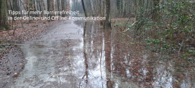 Nicht barrierefrei: überschwemmter Wanderweg im Wald