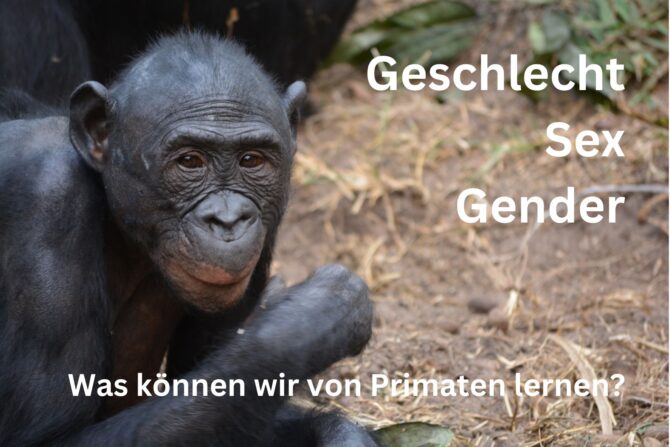 Gender und Affen: Was wir von Primaten lernen können (Rezension) Bonobo in Lola mit Text: Geschlecht, Sex, Gender: Was können wir von Primaten lernen?